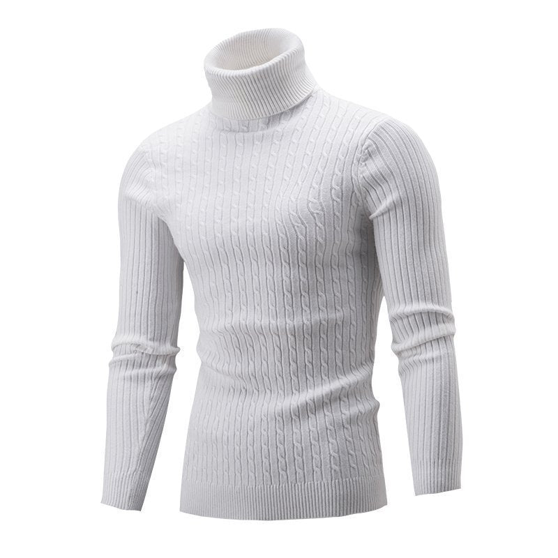 Turtle neck knitwear for men