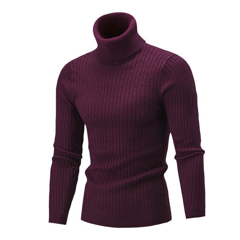 Turtle neck knitwear for men