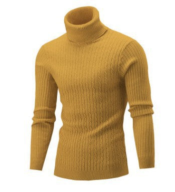 Turtle neck knitwear for men